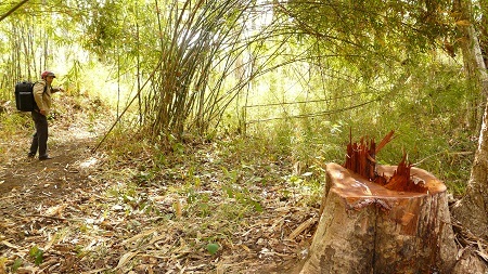 Nếu không quyết liệt ngăn chặn, những hình ảnh này trong tương lại sẽ lại tái diễn.