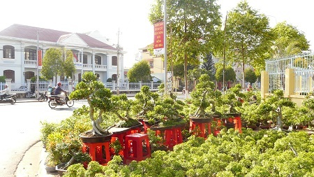 Thương lái từ các tỉnh miền Tây Nam Bộ bày bán hoa kiểng trên đường Trường Chinh, TP Buôn Ma Thuột.