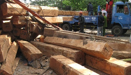 Số trên thùng xe container đổ xuống đường.