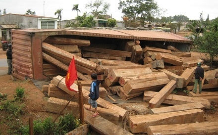 Gỗ tràn ra đường.