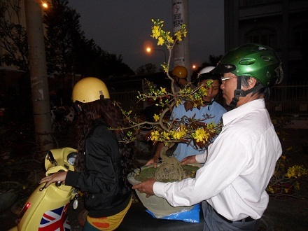 Cọc cạch chở mai về nhà khi giao thừa chỉ tính bằng giờ.