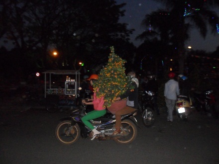 Quất về nhà... khi trời chập choạng.
