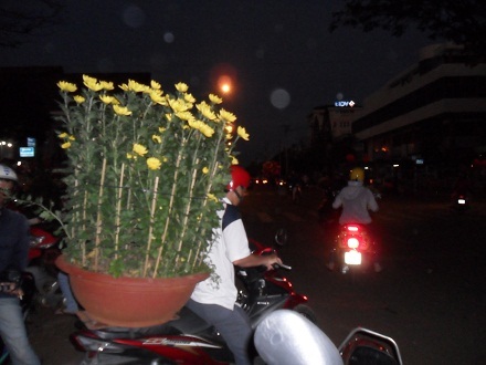 Hối hả... chở xuân.