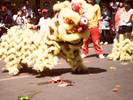 Lân... đổ bộ xuống phố “thăm viếng” nhiều gia đình mùng 1 Tết ở Buôn Ma Thuột.
