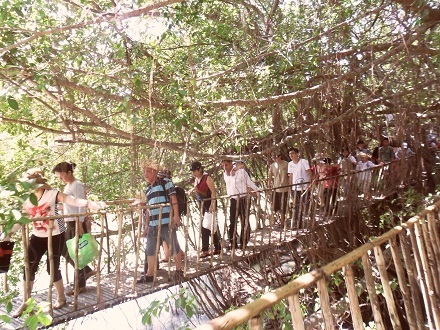 Đi cầu treo qua sông Sê-rê-pôk trước khi đến các trạm cưỡi voi.
