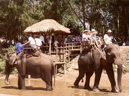 Du ngoạn.
