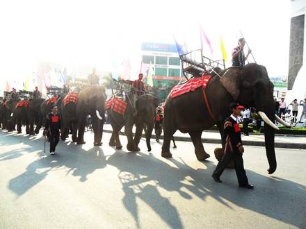 Voi -ngộ nghĩnh trong lễ hội đường phố.