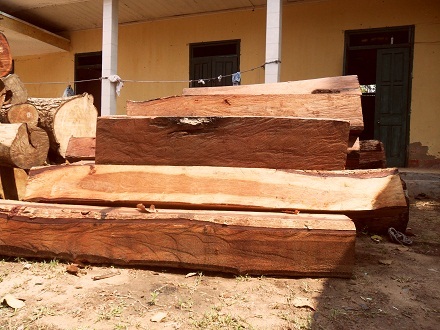 VQG Yok Đôn thời gian qua luôn là điểm nóng về tình trạng vi phạm lâm luật.