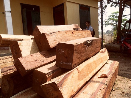 Số gỗ hương tang vật được lực lượng kiểm lâm Vườn quốc gia Yok Đôn tạm giữ.