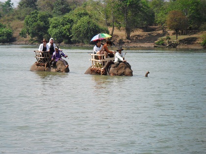 Phải chăng voi nhà Đắk Lắk đang bị khai thác du lịch quá mức?