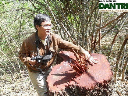 Muốn vào Vườn quốc gia Yok Đôn phải đeo thẻ