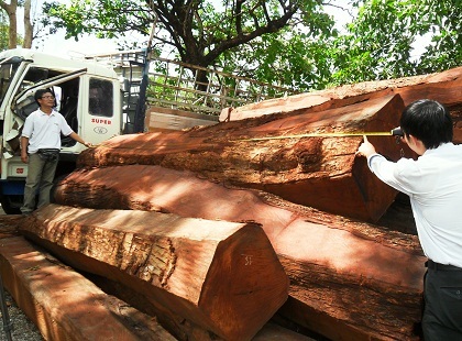 Chiều dài trung bình mỗi hộp gỗ căm xe la 3,8 - 5 mét, đường kính từ 40-80cm.