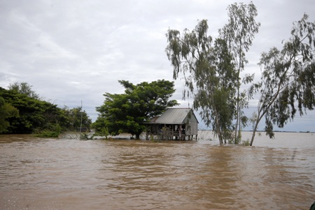 Lũ sông Cửu Long vượt mức báo động 3 sớm hơn 2 ngày - 1
