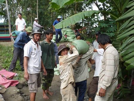 Vỡ đê ngăn lũ, thiệt hại hàng nghìn héc-ta lúa và màu - 1 Vỡ đê ngăn lũ, thiệt hại hàng nghìn héc-ta lúa và màu - 1