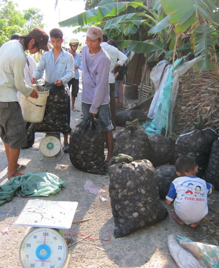 Một kiểu chợ độc đáo ở vùng biên - 3