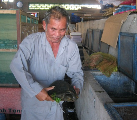 Săn lùng rùa núi đưa lên... bàn nhậu - 1 Săn lùng rùa núi đưa lên... bàn nhậu - 1