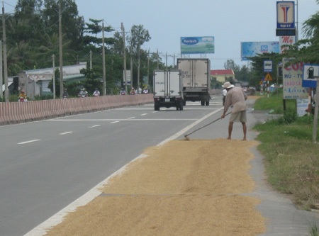 Nước ngập sân, lúa tràn ra quốc lộ - 1 Nước ngập sân, lúa tràn ra quốc lộ - 1