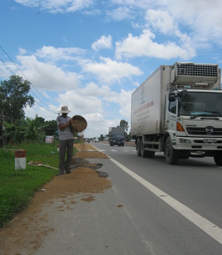 Nước ngập sân, lúa tràn ra quốc lộ - 2 Nước ngập sân, lúa tràn ra quốc lộ - 2