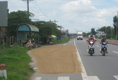 Nước ngập sân, lúa tràn ra quốc lộ - 3 Nước ngập sân, lúa tràn ra quốc lộ - 3