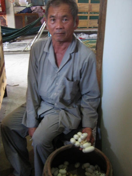 Nuôi 500 con rắn hổ hèo trong... tủ gỗ - 3 Nuôi 500 con rắn hổ hèo trong... tủ gỗ - 3