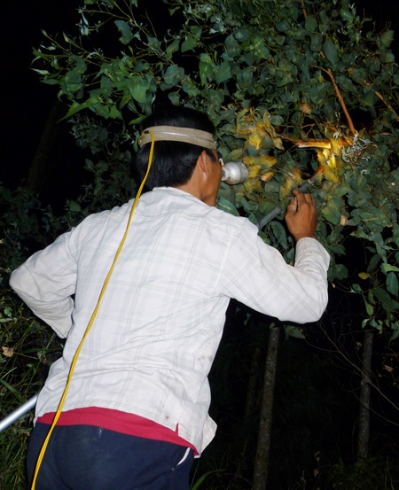 Những nghề “ăn theo” mùa nước nổi - 5