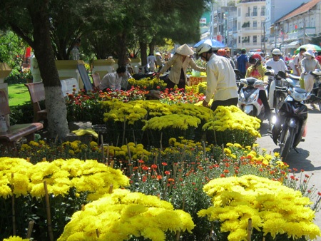 Hoa, quả, bánh kẹo xả hàng chiều 29 Tết - 10