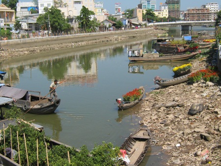 Hoa, quả, bánh kẹo xả hàng chiều 29 Tết - 13