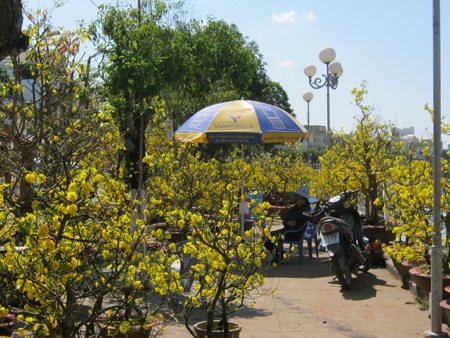 Hoa, quả, bánh kẹo xả hàng chiều 29 Tết - 14