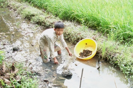 “Con không sợ phải bỏ học, chỉ sợ mất mẹ” - 1 “Con không sợ phải bỏ học, chỉ sợ mất mẹ”