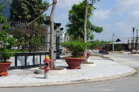 Đại gia “thiếu đất” lấy vỉa hè làm... vườn nhà - 2 Và những cây cổ thụ