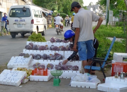Nho Mỹ ồ ạt tràn về nông thôn tiếp tục gạt người đi đường