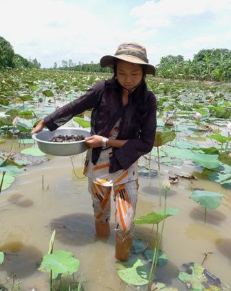 Có áo dài rồi, em vẫn phải bỏ học
