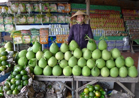 Tha hồ cho du khách chọn lựa