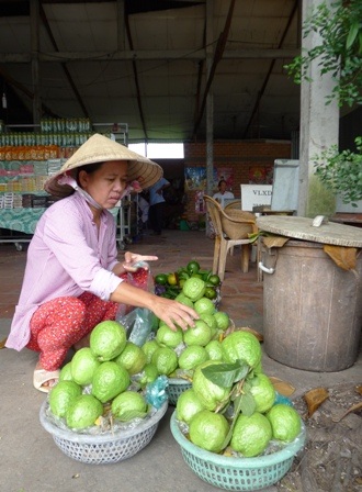 Ở Tiền Giang bán trái cây người ta bán nguyên rỗ thế này chứ không tính trái, tính kg