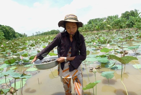 Do nhà nghèo, cha và chị hai bệnh nặng nên sau mỗi buổi học Quỳnh Như vẫn phải đi bắt ốc