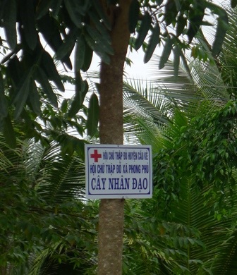 Một năm người dân góp 100.000 đồng cho Hội chữ thập đỏ xã để nuôi cây nhân đạo