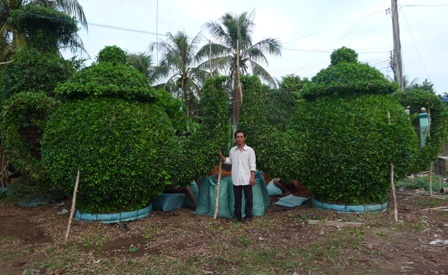 Chỉ mất 2 tuần lễ anh Nguyên đã làm xong bộ tách trà to đùng này