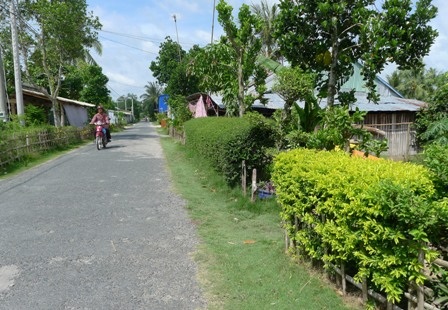 Nhìn những hàng rào xanh đơn giản thế này nhưng cũng có tuổi thọ từ 3 -4 năm tuổi