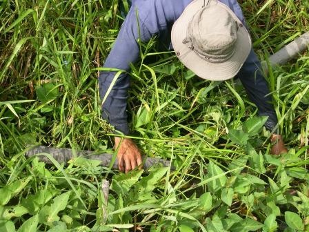 Cuối cùng cũng tìm được nơi thích hợp để đặt trúm