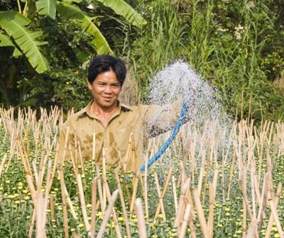 “Chạy nước rút” đón mùa hoa Tết - 8 Chị Nga đang thêm đất mới vào những chậu hoa hồng, chuẩn bị mang ra chợ bán