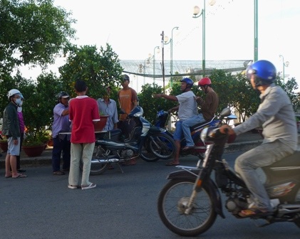 Sáng sớm đã bắt đầu vận chuyển cây cho khách