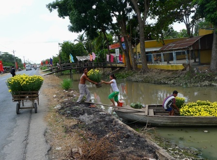 Ở miền Tây, hoa được vận chuyển từ vườn bằng ghe sau đó nhờ xe vận chuyển đến chợ hoa
