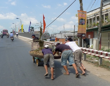 Ngoài cánh xe ôm, xe ba gác,... cánh xe tải cũng hốt bạc nhờ vận chuyển hoa kiểng dịp Tết