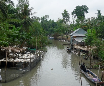 Tiêu huỷ 300 con gia cầm nhiễm cúm H5N1