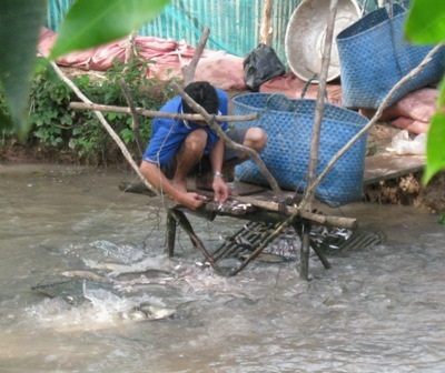 Khoan giếng lấy nước ngọt nuôi cá lóc, kiếm bạc trăm triệu