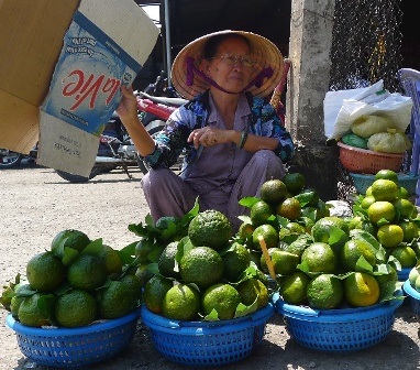 Nắng nóng, cam sành, dừa tươi tăng giá vùn vụt