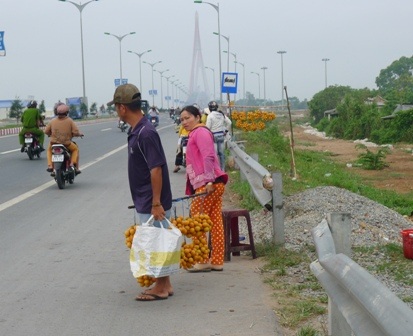 Cắt bỏ hết lá