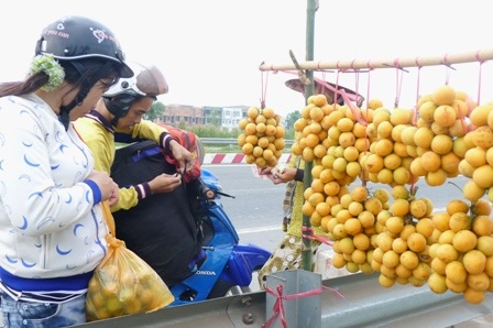 Những đòn gánh nặng trĩu trái Thanh Tra vàng cam bắt mắt