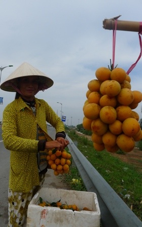 Theo chị Ni, mỗi ngày chị bán được từ 15 - 20 kg trái Thanh Trà