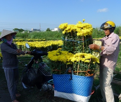Mùa xuân thiếu an toàn!